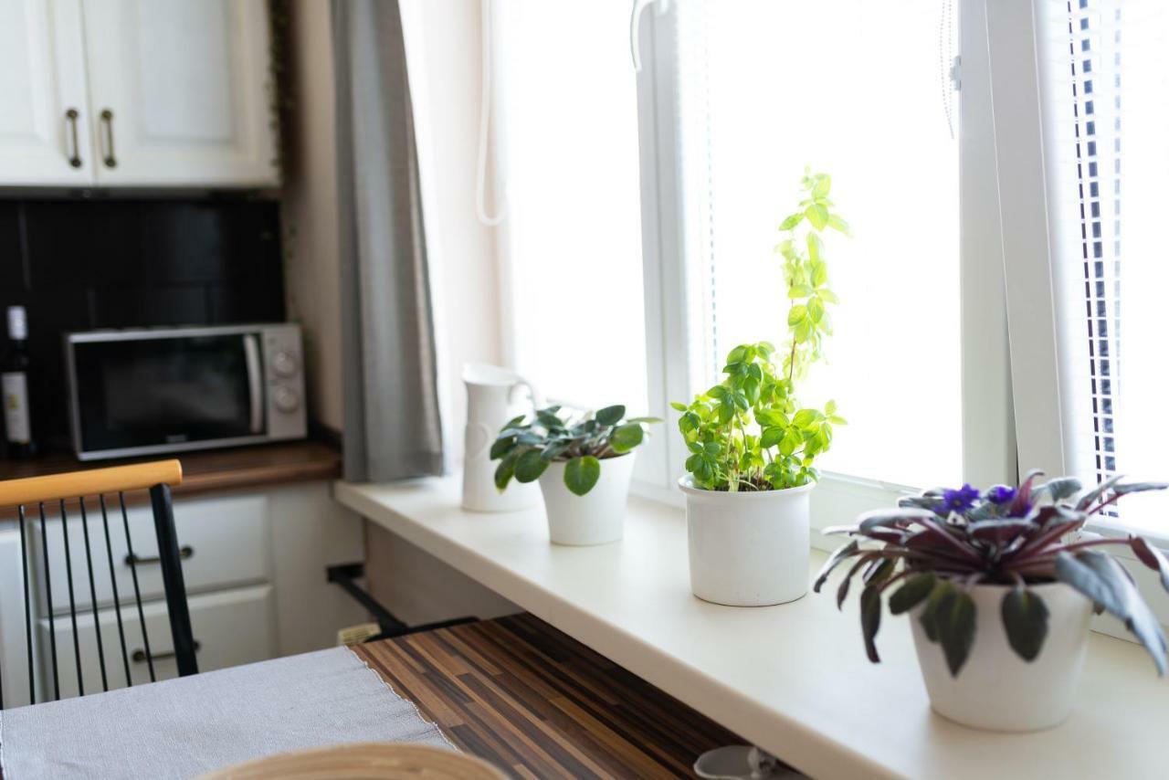 Old Town Vintage Apartment Sturova Kassa Kültér fotó